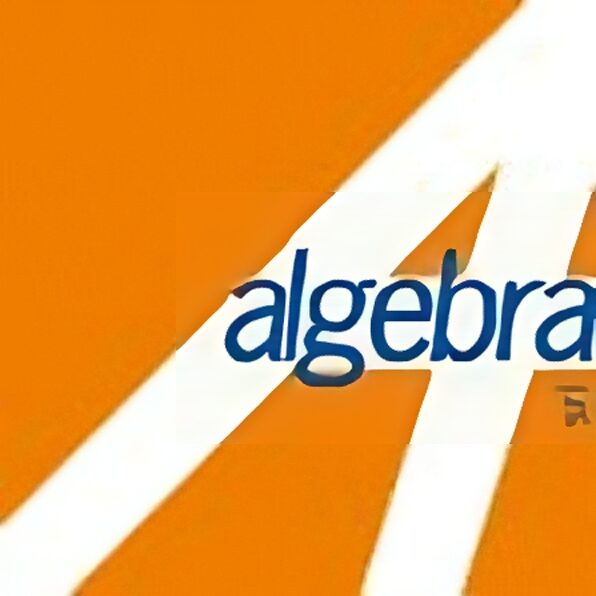 Algebra A.I. Srl